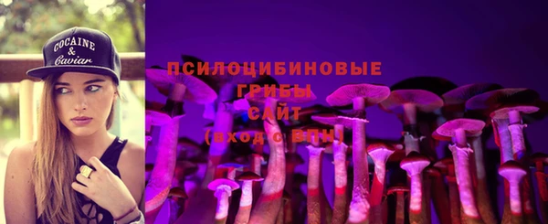 шишки Новозыбков