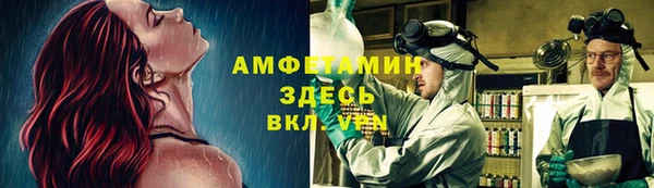 ПСИЛОЦИБИНОВЫЕ ГРИБЫ Аркадак