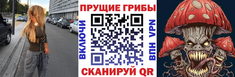 Галлюциногенные грибы GOLDEN TEACHER  мега tor  Светлый  цена  